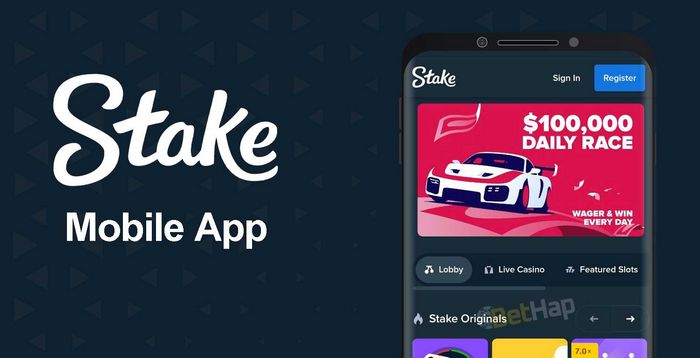 Stake.com Application Evaluation  & My Individual Experience 2024: Have A Look At My Stake.com App Insights